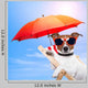 Dog Sunbathing Deck Chair