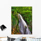 Waterfalls Crimea 2 Wall Decal
