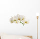 White Orchid