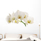 White Orchid