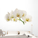 White Orchid