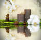 White Orchid with Bamboo