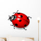 Ladybird Vector Wall Decal