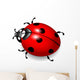 Ladybird Vector Wall Decal