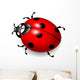 Ladybird Vector Wall Decal