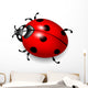 Ladybird Vector Wall Decal