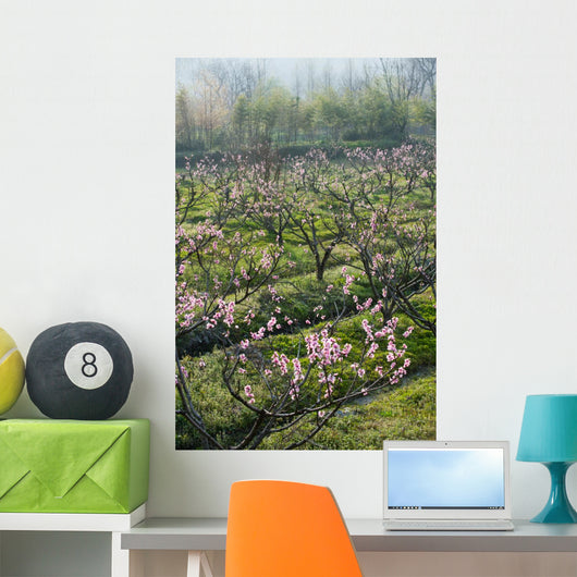 Peach Blossom