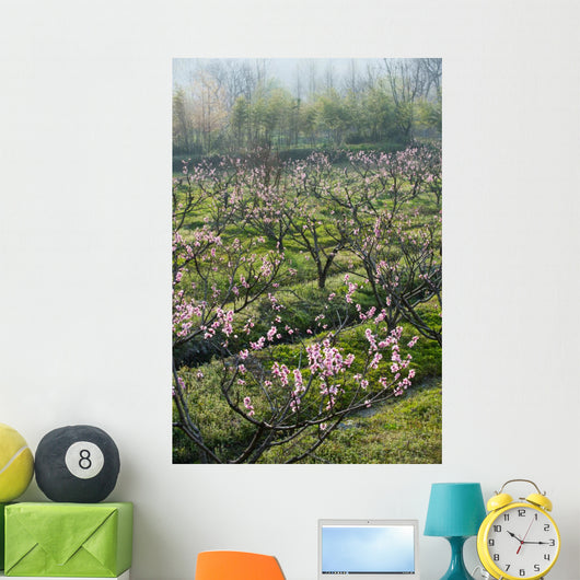 Peach Blossom