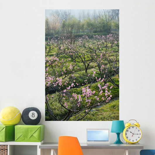 Peach Blossom