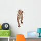 Tyrannosaurus Rex Wall Mural