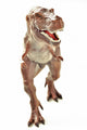 Tyrannosaurus Rex Wall Mural