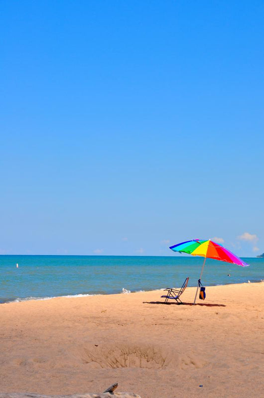 Beach Warren Dunes