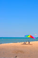 Beach Warren Dunes