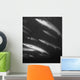 Schooling Barracuda Wall Mural