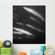 Schooling Barracuda Wall Mural