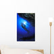 Reef Examination Wall Mural