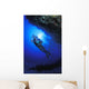 Reef Examination Wall Mural