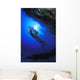 Reef Examination Wall Mural