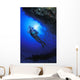 Reef Examination Wall Mural