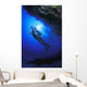 Reef Examination Wall Mural