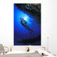 Reef Examination Wall Mural