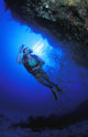 Reef Examination Wall Mural