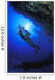 Reef Examination Wall Mural