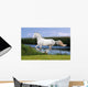 White Horse Summer Field