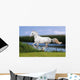 White Horse Summer Field