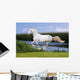 White Horse Summer Field