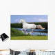 White Horse Summer Field