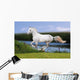 White Horse Summer Field