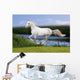 White Horse Summer Field