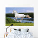 White Horse Summer Field