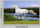 White Horse Summer Field