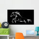 Horse Jumping Black Vector