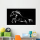 Horse Jumping Black Vector