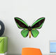 Green Papilio