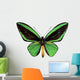 Green Papilio