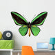Green Papilio