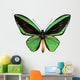 Green Papilio