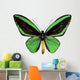 Green Papilio