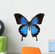 Papilio Ulysses
