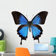 Papilio Ulysses