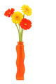 gerbera daisies in vase Wall Decal