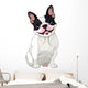 French bulldog Wall Decal
