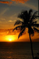 Maui Sunset
