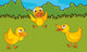 Chicks Field