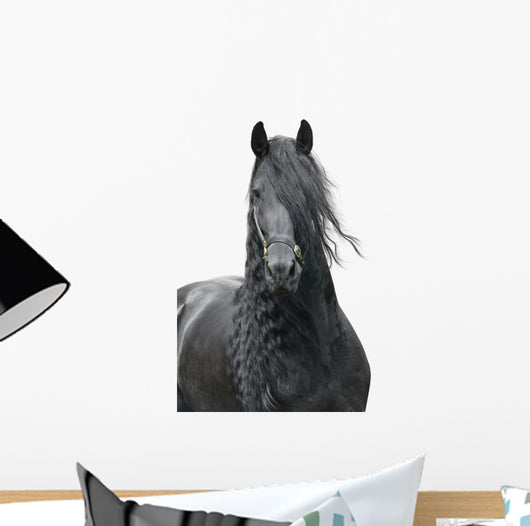 Friesian Stallion on a White Background Wall Decal