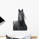 Friesian Stallion on a White Background Wall Decal